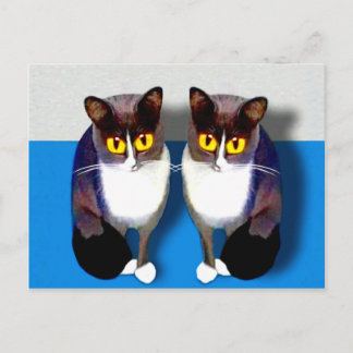 CATaTUDEs Briefkaart