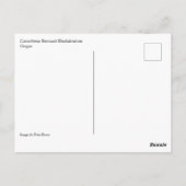 Catawbiense Boursault Rhododendrons, Oregon Briefkaart (Achterkant)