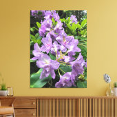 Catawbiense Boursault Rhododendrons, Oregon Canvas Afdruk (Insitu (Woonkamer))