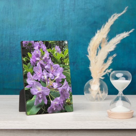 Catawbiense Boursault Rhododendrons, Oregon Fotoplaat (Zijkant)