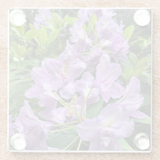 Catawbiense Boursault Rhododendrons, Oregon Glazen Onderzetter (Achterkant)