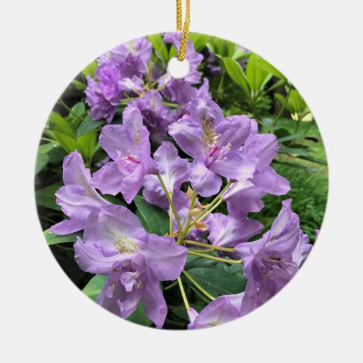 Catawbiense Boursault Rhododendrons, Oregon Keramisch Ornament (Voorkant)