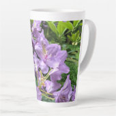 Catawbiense Boursault Rhododendrons, Oregon Latte Mok (Rechterhoek)