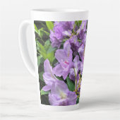 Catawbiense Boursault Rhododendrons, Oregon Latte Mok (Linkerhoek)