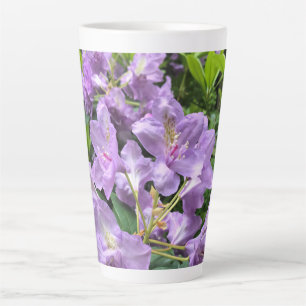 Catawbiense Boursault Rhododendrons, Oregon Latte Mok