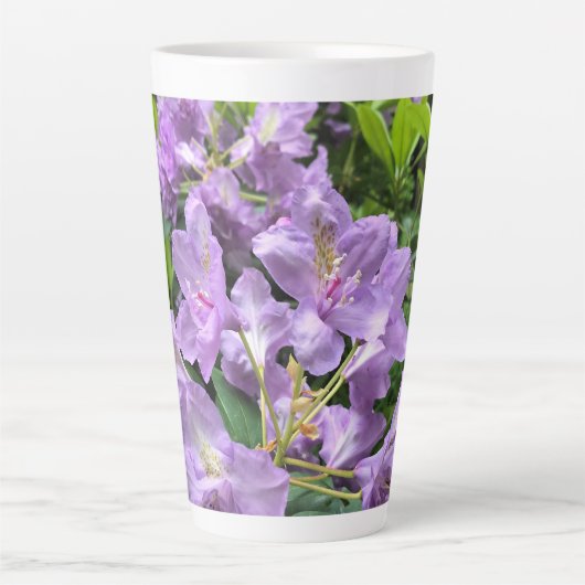 Catawbiense Boursault Rhododendrons, Oregon Latte Mok (Voorkant)