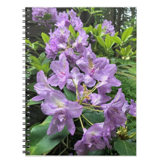 Catawbiense Boursault Rhododendrons, Oregon Notitieboek (Voorkant)