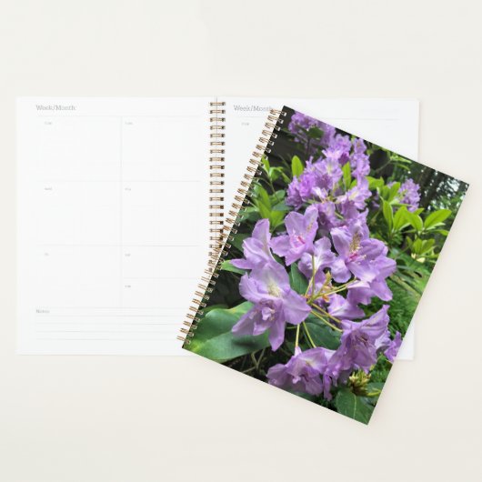 Catawbiense Boursault Rhododendrons, Oregon Planner (Display)