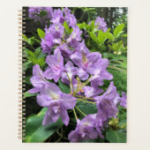 Catawbiense Boursault Rhododendrons, Oregon Planner (Voorkant)
