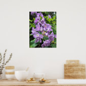 Catawbiense Boursault Rhododendrons, Oregon Poster (Keuken)
