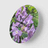 Catawbiense Boursault Rhododendrons, Oregon Ronde Klok (Hoek)