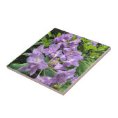 Catawbiense Boursault Rhododendrons, Oregon Tegeltje (Zijkant)