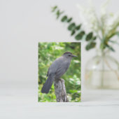 Catbird ATC Visitekaartje (Staand voorkant)