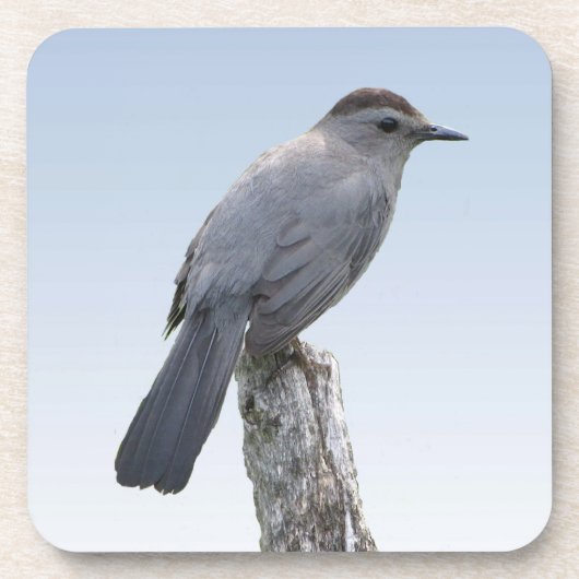 Catbird Bier Onderzetter (Voorkant)