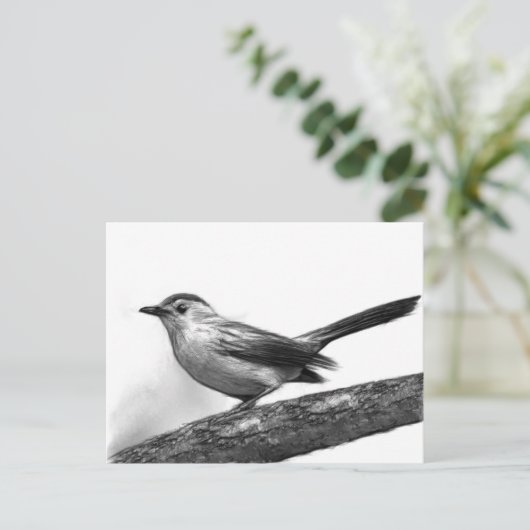 Catbird Briefkaart (Staand voorkant)
