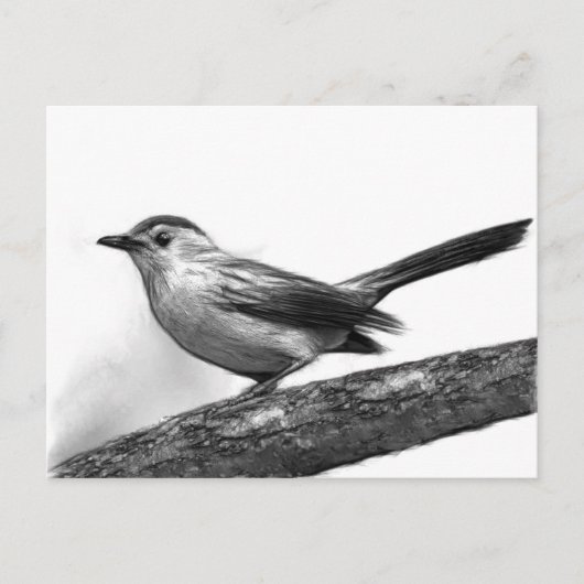 Catbird Briefkaart (Voorkant)