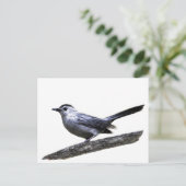 Catbird Briefkaart (Staand voorkant)