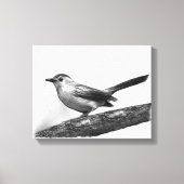Catbird Canvas Afdruk (Voorkant)