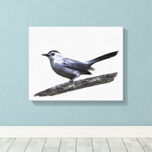 Catbird Canvas Afdruk (Insitu (Houten vloer))