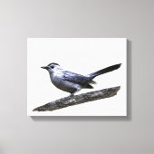 Catbird Canvas Afdruk (Voorkant)