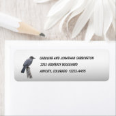 Catbird Etiket (Insitu)