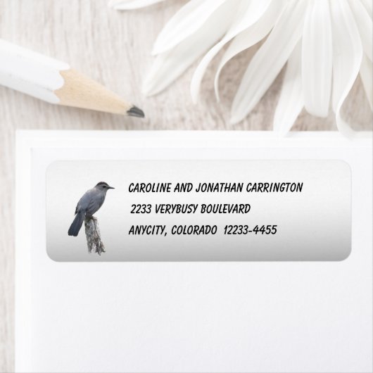 Catbird Etiket (Insitu)