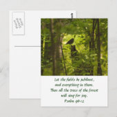 Catbird in Forest Green Briefkaart (Voorkant / Achterkant)