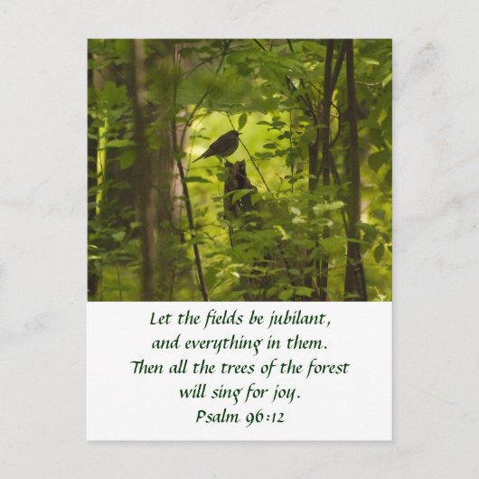 Catbird in Forest Green Briefkaart (Voorkant)