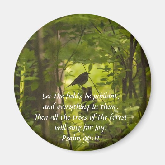 Catbird in het bos Groen Magneet (Voorkant)