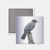 Catbird Magneet (Voorkant / Achterkant)