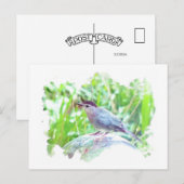 Catbird op een kijkbal briefkaart (Voorkant / Achterkant)