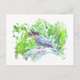 Catbird op een kijkbal briefkaart