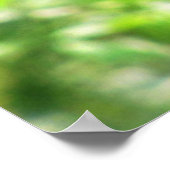 Catbird Poster (Hoek)