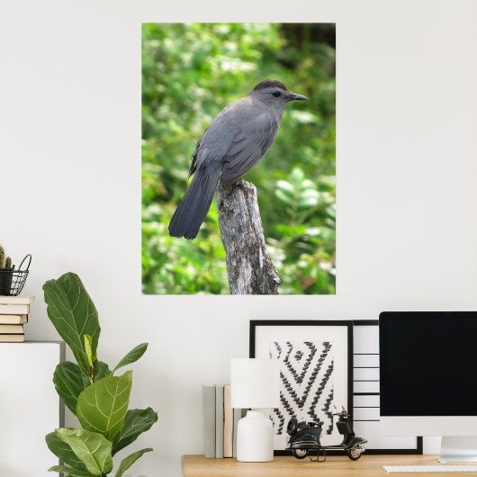 Catbird Poster (Thuiskantoor)