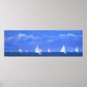 Catboat Race Poster (Voorkant)