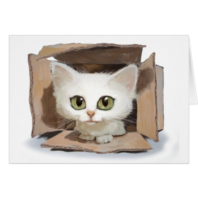 Catbox (Voorkant Horizontaal)