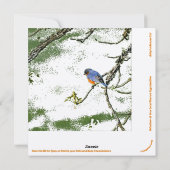 "Catcetera: Spay/Neuter" Sla de vogels op Feestdagenkaart (Achterkant)