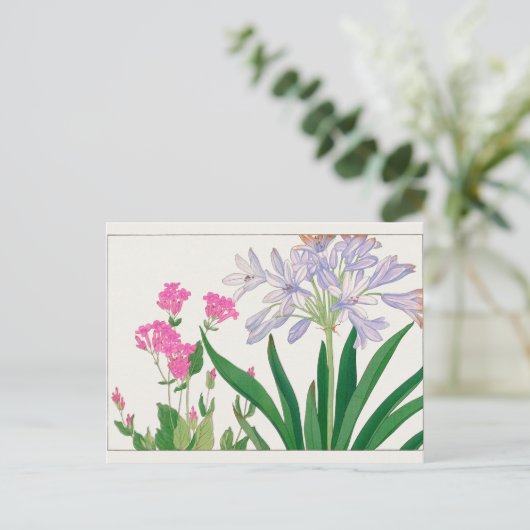 Catchfly, Afrikaanse lelie van Tanigami Konan Briefkaart (Staand voorkant)