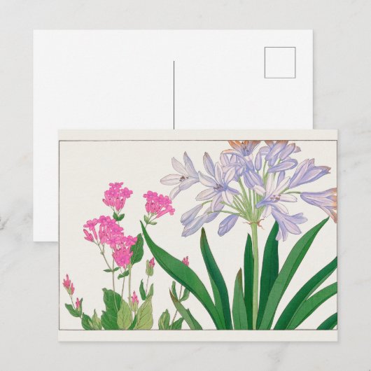Catchfly, Afrikaanse lelie van Tanigami Konan Briefkaart (Voorkant / Achterkant)