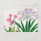 Catchfly, Afrikaanse lelie van Tanigami Konan Briefkaart (Voorkant)