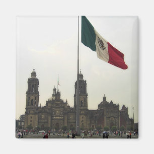 Catedral en el Zocalo del DF con la Bandera Magneet
