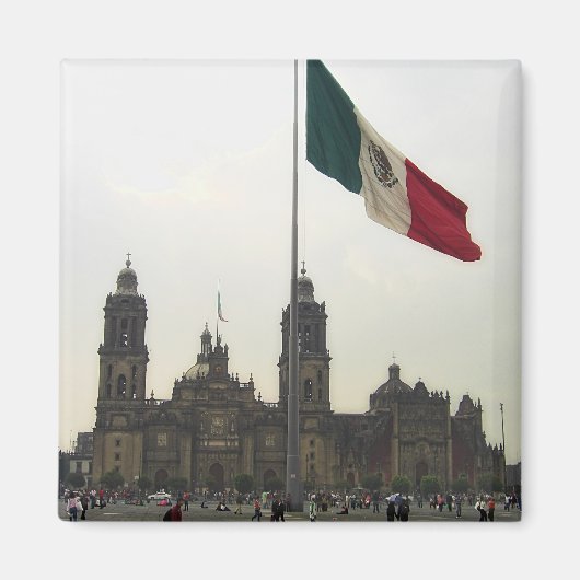 Catedral en el Zocalo del DF con la Bandera Magneet (Voorkant)