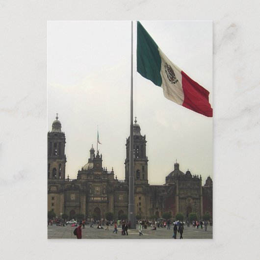 Catedral en el Zocalo del DF & la Bandera Mexicana Briefkaart (Voorkant)