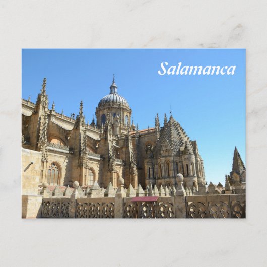 Catedral Nueva de Salamanca Briefkaart (Voorkant)