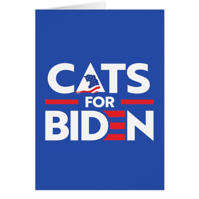 CATEGORIEËN BIDEN (Voorkant)