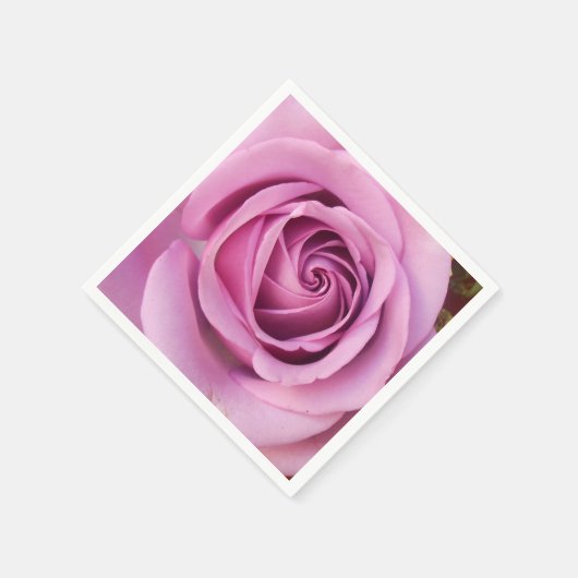 Catejne Servet (Hoek)