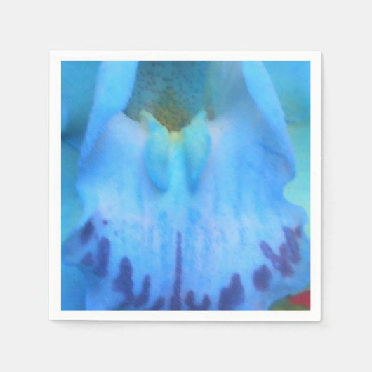 Catelijne Servetten (Voorkant)