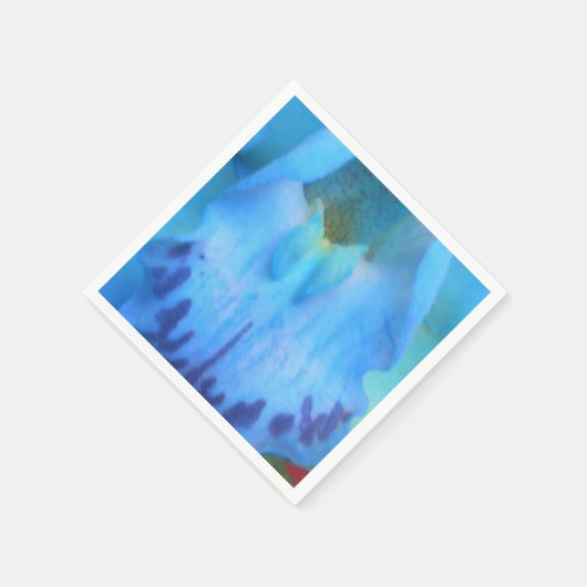 Catelijne Servetten (Hoek)