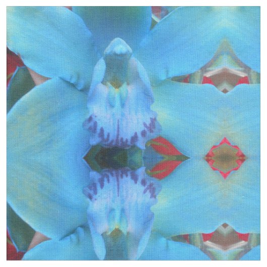 Catelijne Stof (Close Up)