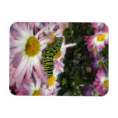 Caterdepijlerrolmagneet Magneet (Horizontaal)